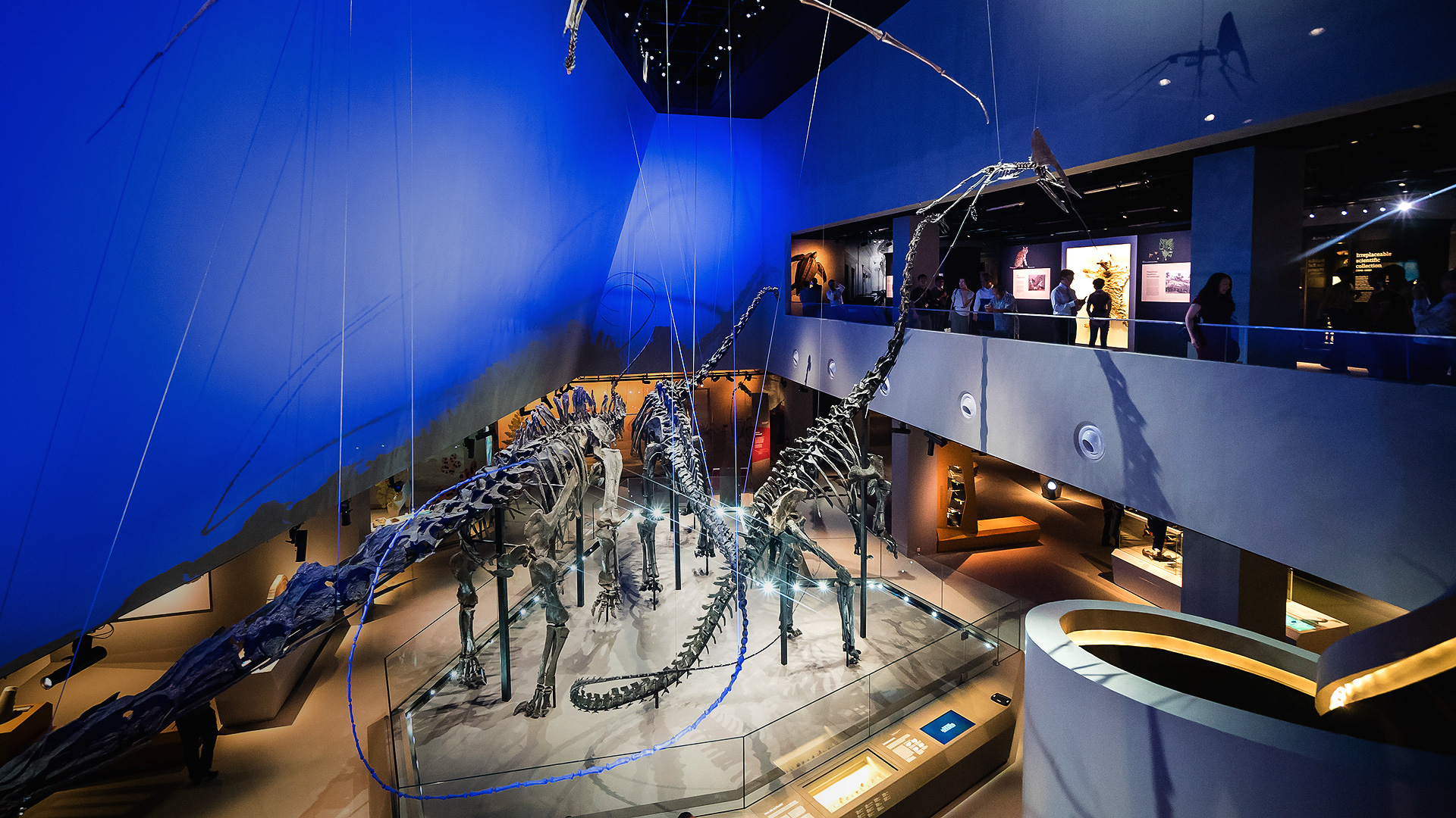 Museum Highlights - Lee Kong Chian Natural History Museum