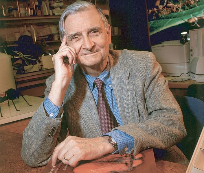 A photograph of Edward O. Wilson by Jim Harrison / CC-BY-2.5 