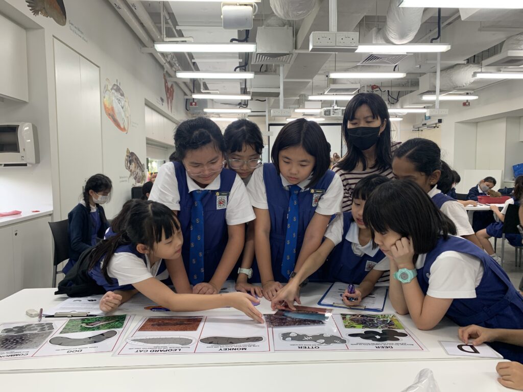 Students gathered around a table, engaging in scat identification activity. Photos, drawings and texts are printed onto a piece of paper they are working on