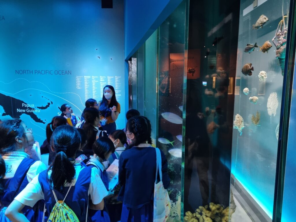 Photograph of students on a guided tour in the Museum gallery