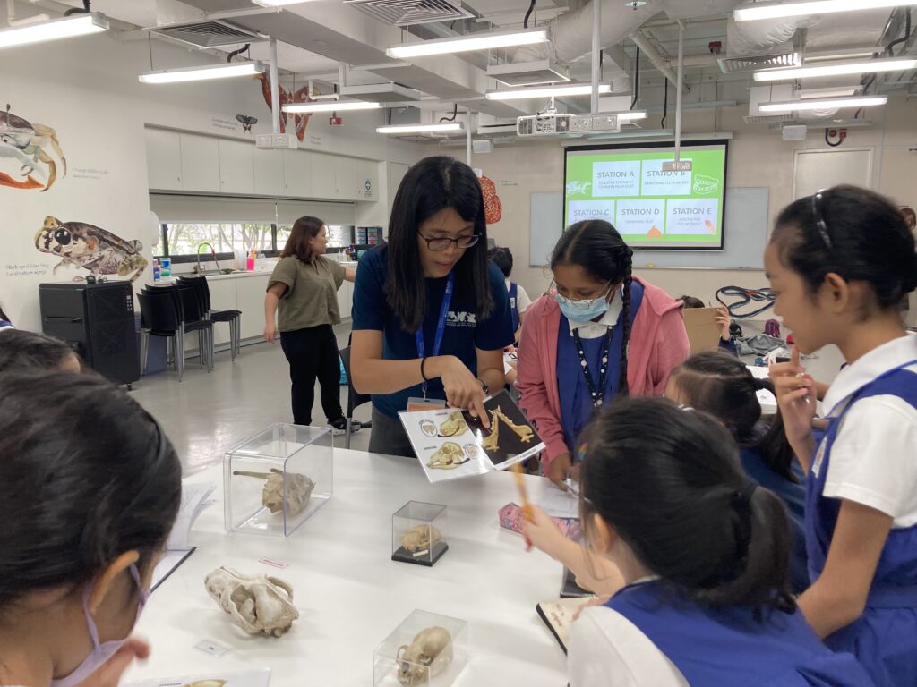 Photo of students gathered around the table, examining organism skulls and teeth while being guided by an education officer of the Museum