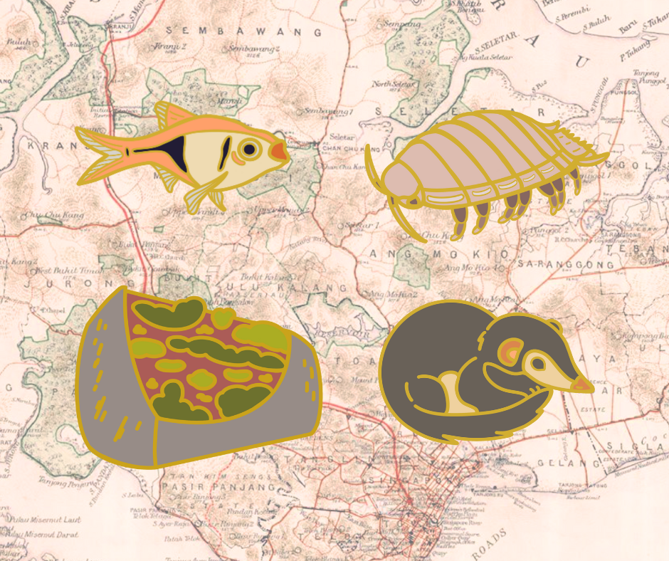 Four pins which designs include an orange and black fish (top left), a light purple giant isopod (top right), a grey and green building (bottom left), and a dark grey treeshrew curled together (bottom right).
