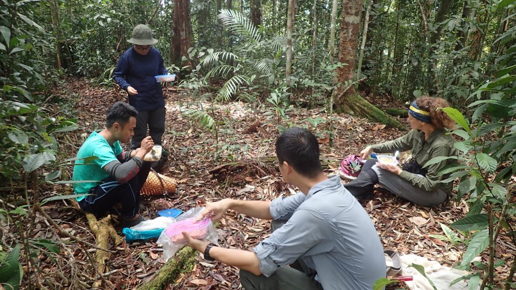 A working lunch out in the field means gathering at a natural clearing along the forest trail to get some leg rest and sustenance, typically in the form of fried rice or fried instant noodles. Photo credit: LKCNHM.