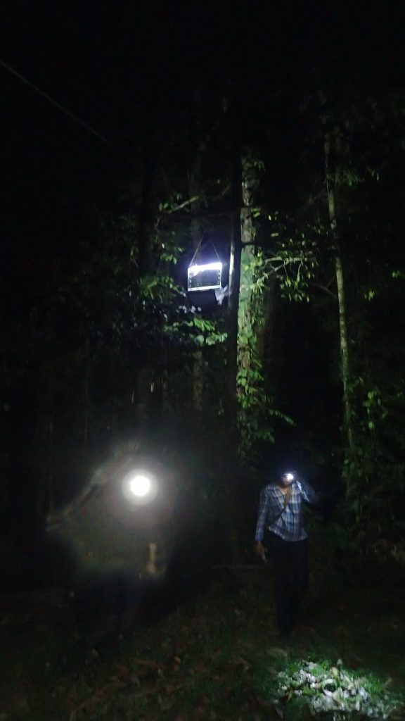 Wilson, our canopy light trap, performing dutifully up among the tree tops near the field station. Photo credit: LKCNHM.