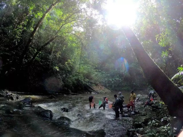 At Sungei Begua (Rajang river basin), NUS researchers and accompanying local staff sample for freshwater fish against strong currents. Photo credit: LKCNHM.