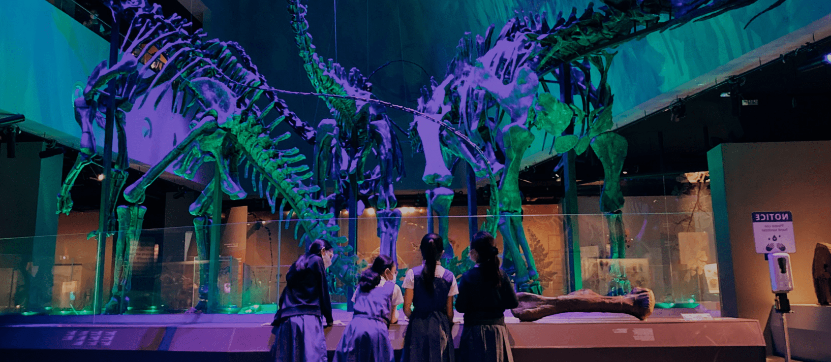 Participants examining specimens in front of the Museum’s three real sauropod dinosaur fossils.