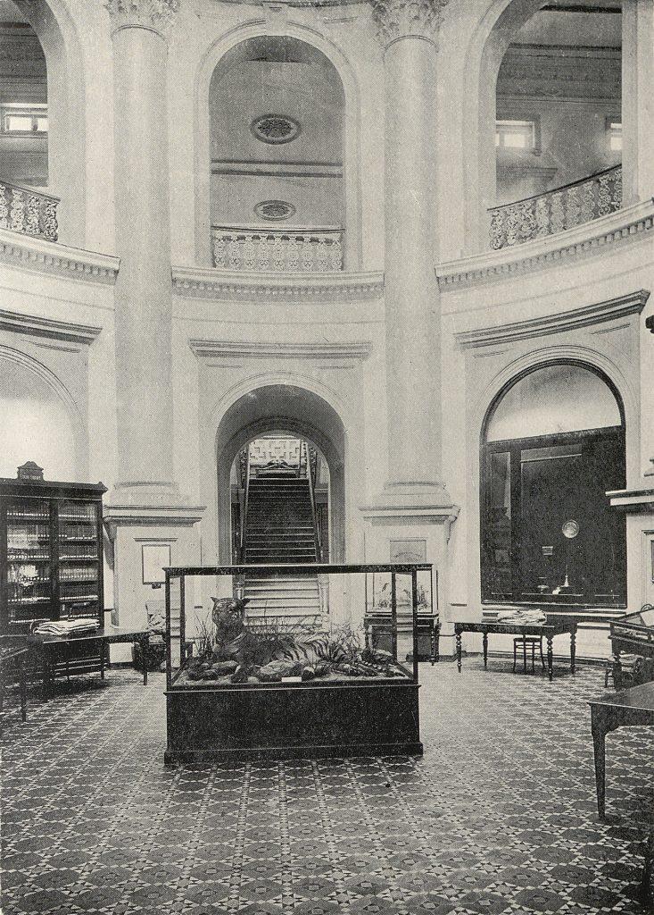A photograph, in black and white, published in 1908 of the central rotunda of the Raffles Museum and Library with a tiger in a glass case on prominent display at the centre.