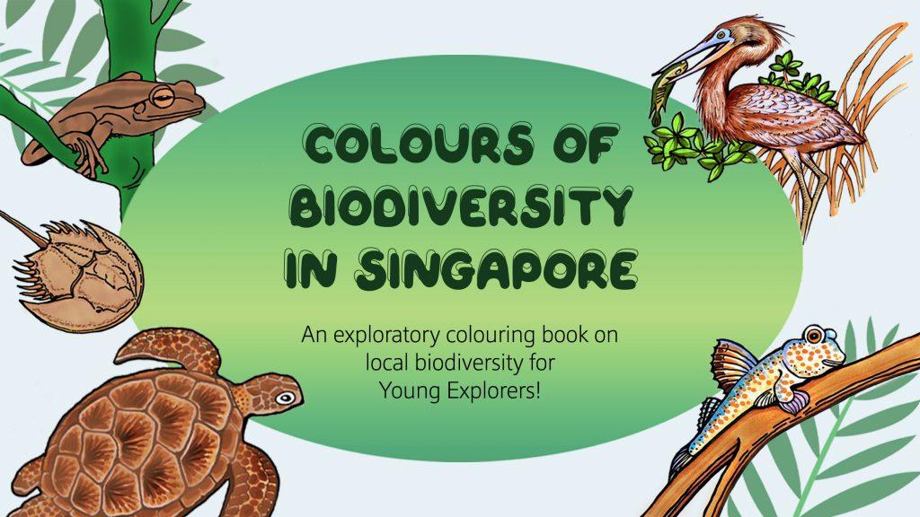 Cover page design of the exploratory colouring book on Singapore’s biodiversity titled “Colours of Biodiversity in Singapore”.