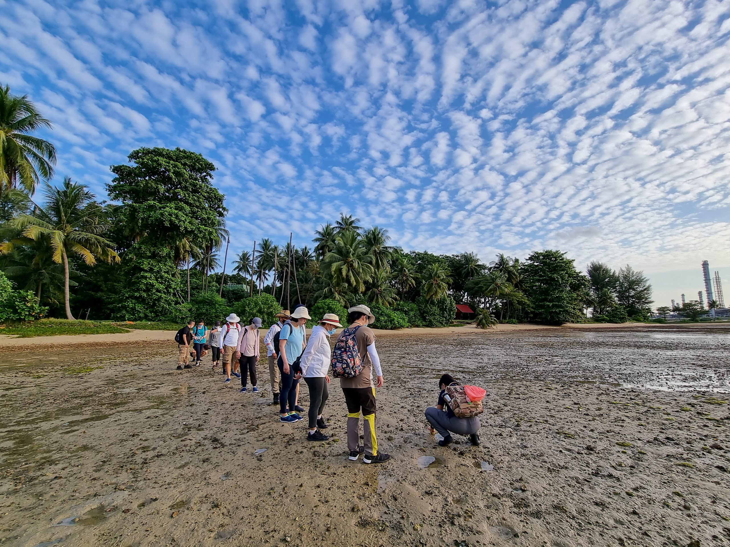 Participants, led by an Education Officer, walking in a single file on the sandy shore of an intertidal area.