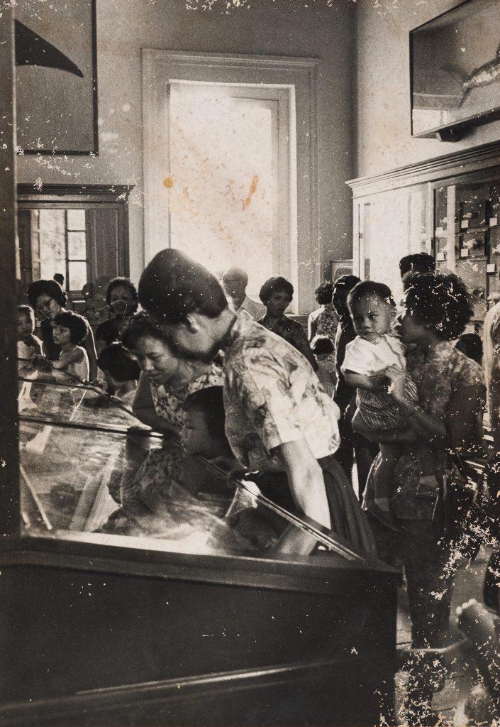 Visitors taking an interest in a glass display case of the natural history specimens at the Stamford Road building, possibly during the 1950s or 1960s.