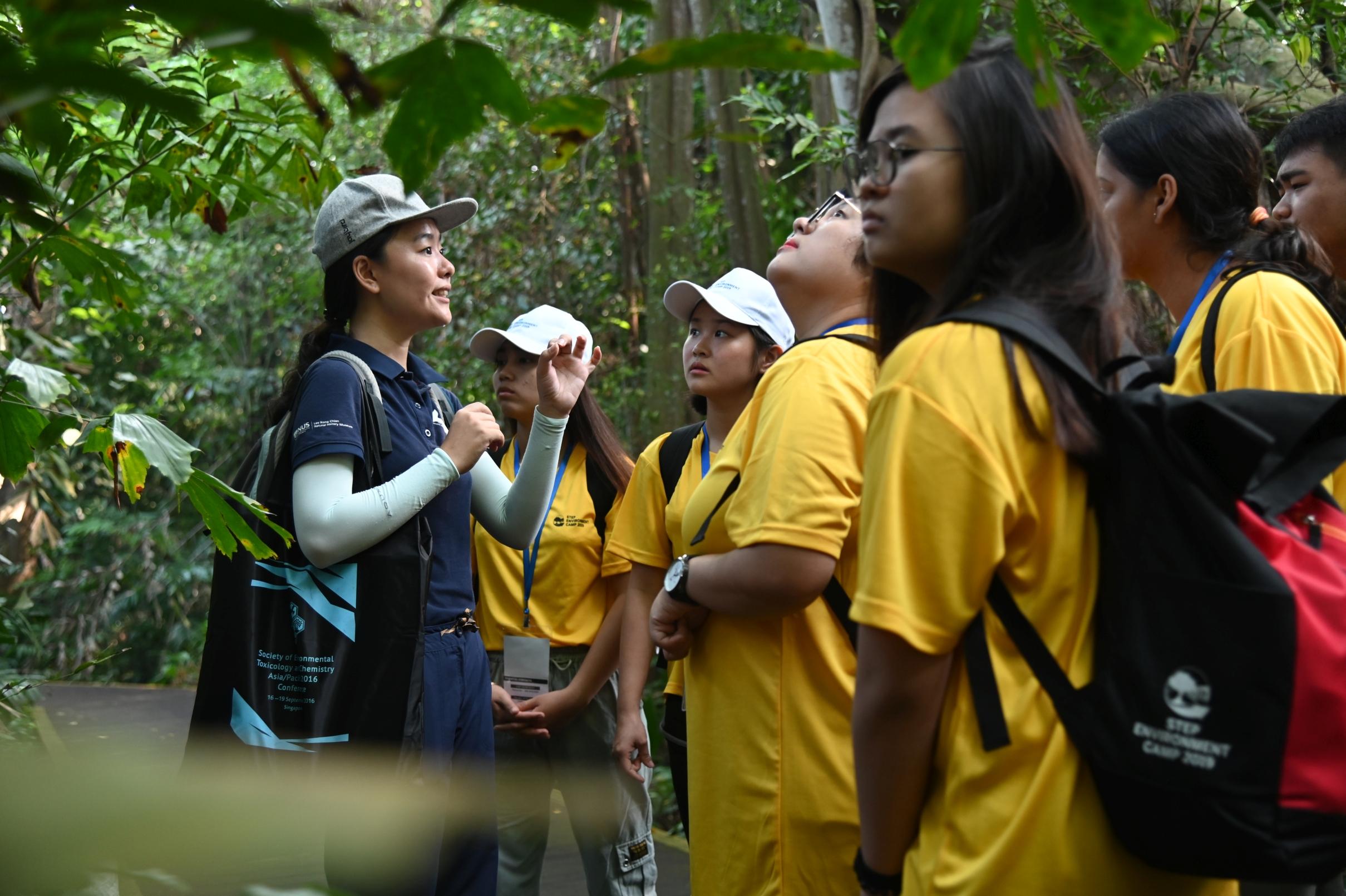 Participants engaged in a nature walk that was conducted by an Education Officer at Sungei Buloh Wetland Reserve.