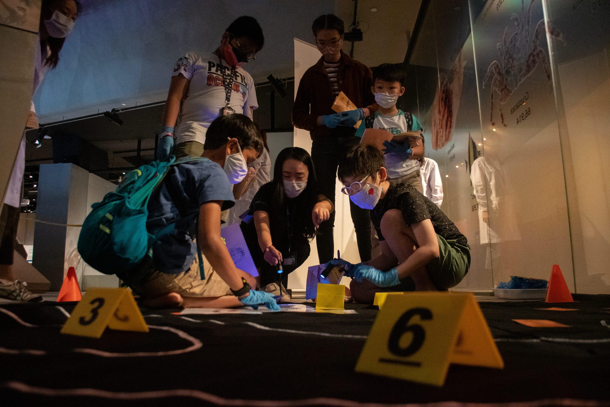 During one of our seasonal programmes, participants investigated clues left at the crime scene.