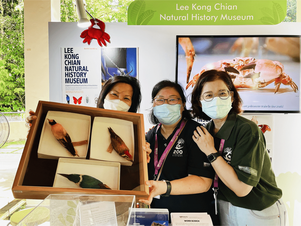 Three volunteers posing happily for the camera while presenting Museum specimens to members of the public during a roadshow.