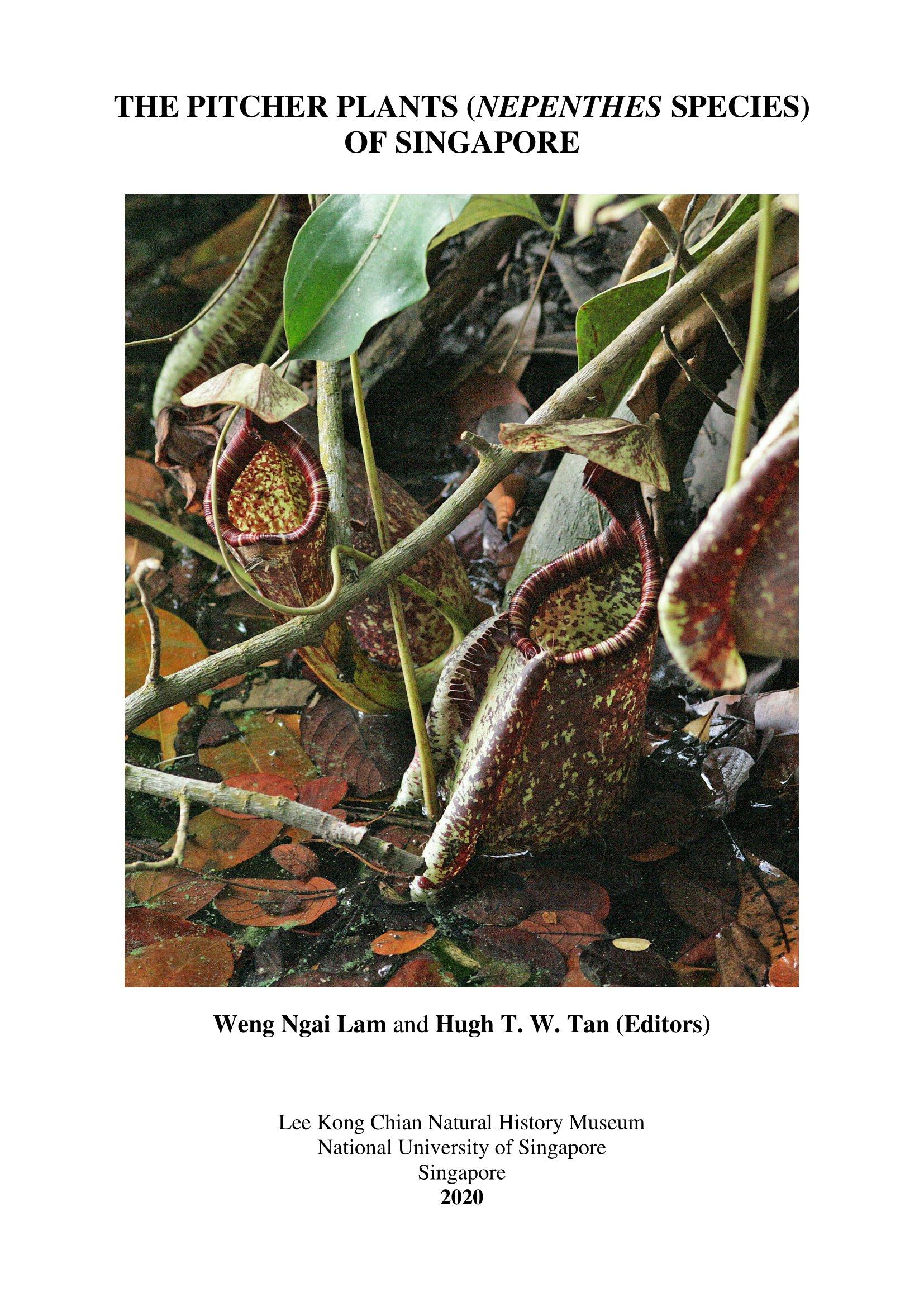 The Pitcher Plants (Nepenthes Species) of Singapore