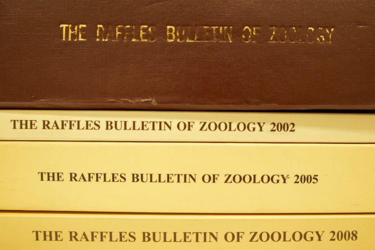 Several copies of the Raffles Bulletin of Zoology