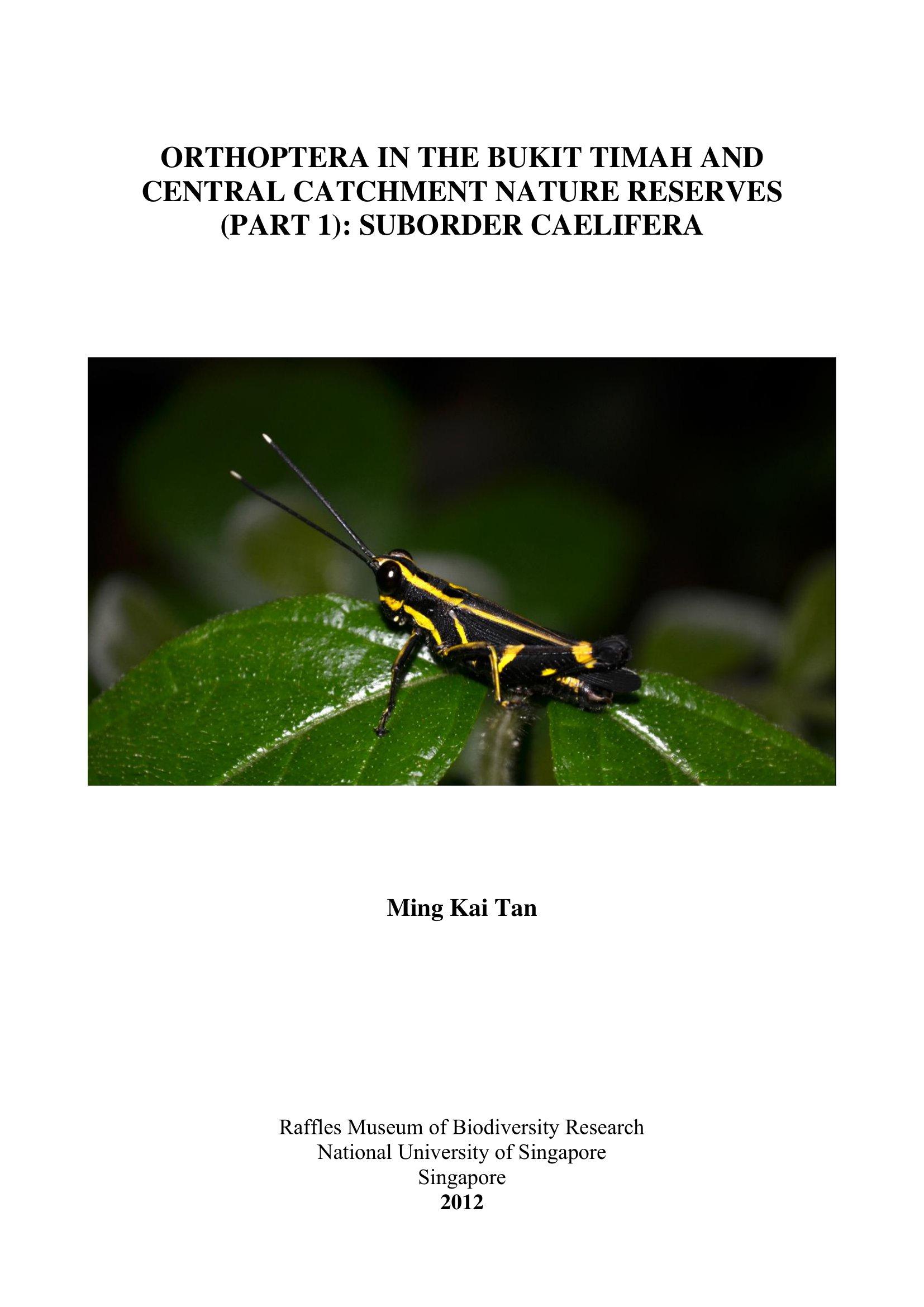 Orthoptera in the Bukit Timah and Central Catchment Nature Reserves (Part 1): Suborder Caelifera