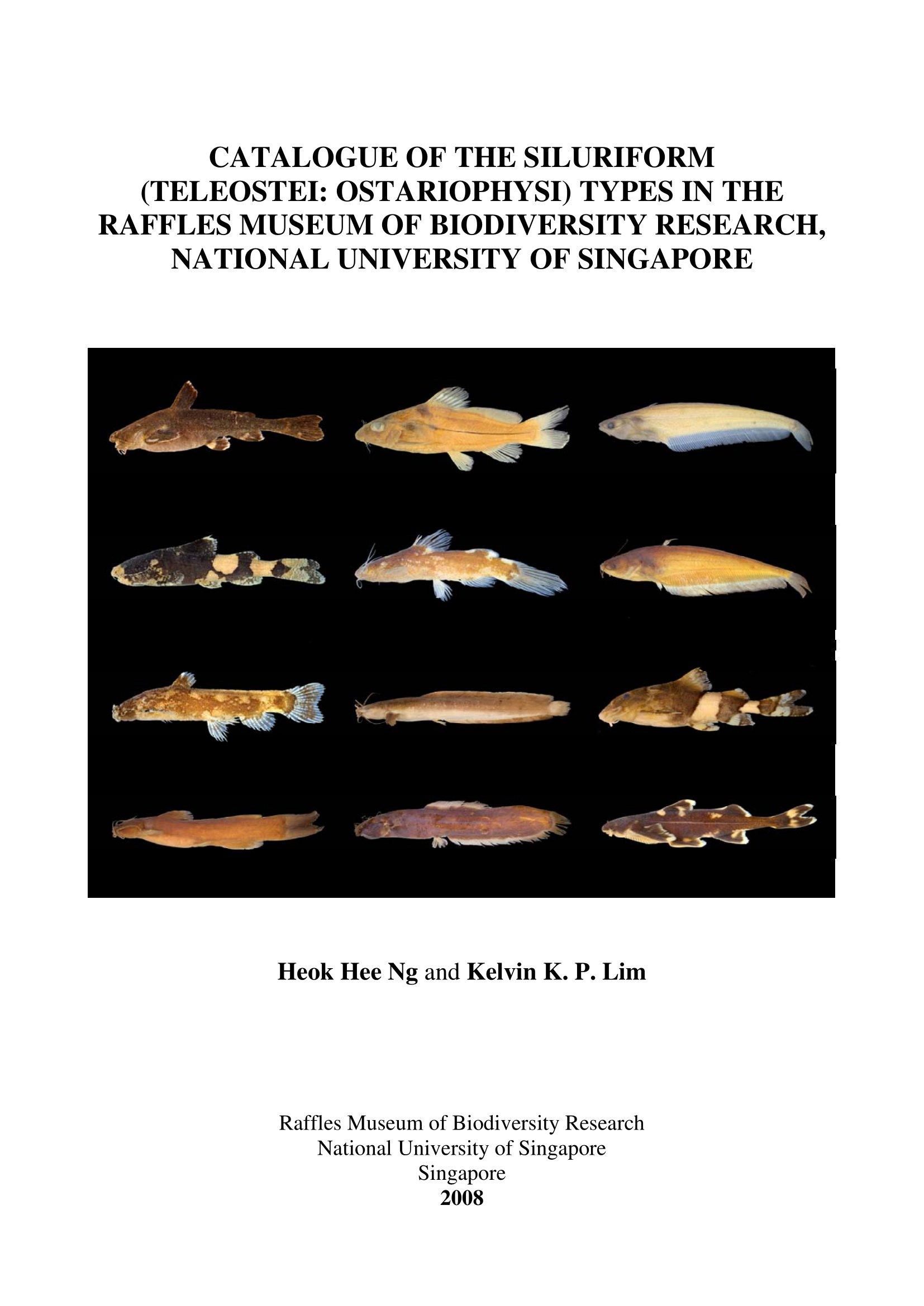 Catalogue of the Siluriform (Teleostei: Ostariophysi) Types in the Raffles Museum of Biodiversity Research, National University of Singapore