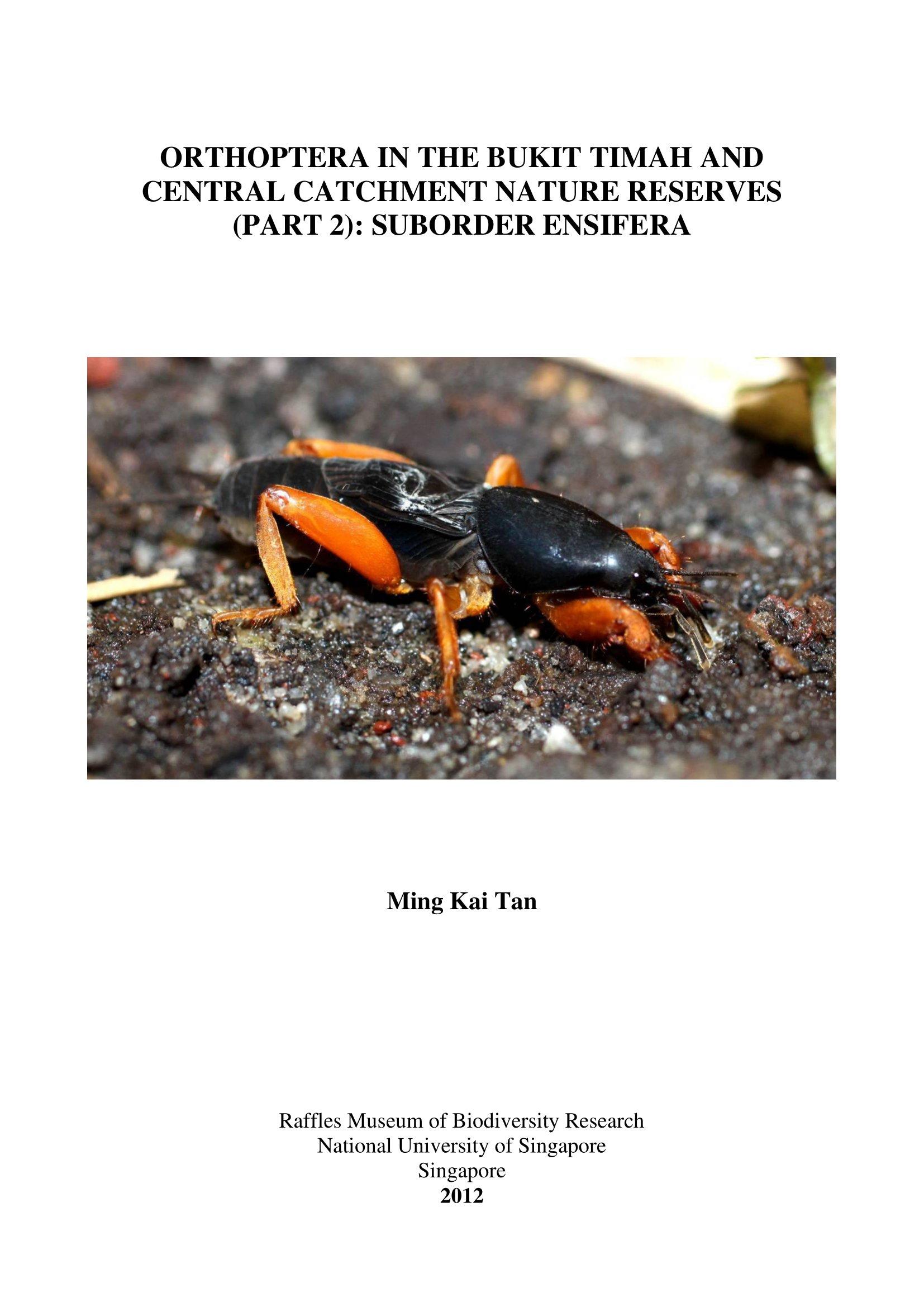 Orthoptera in the Bukit Timah and Central Catchment Nature Reserves (Part 2): Suborder Ensifera