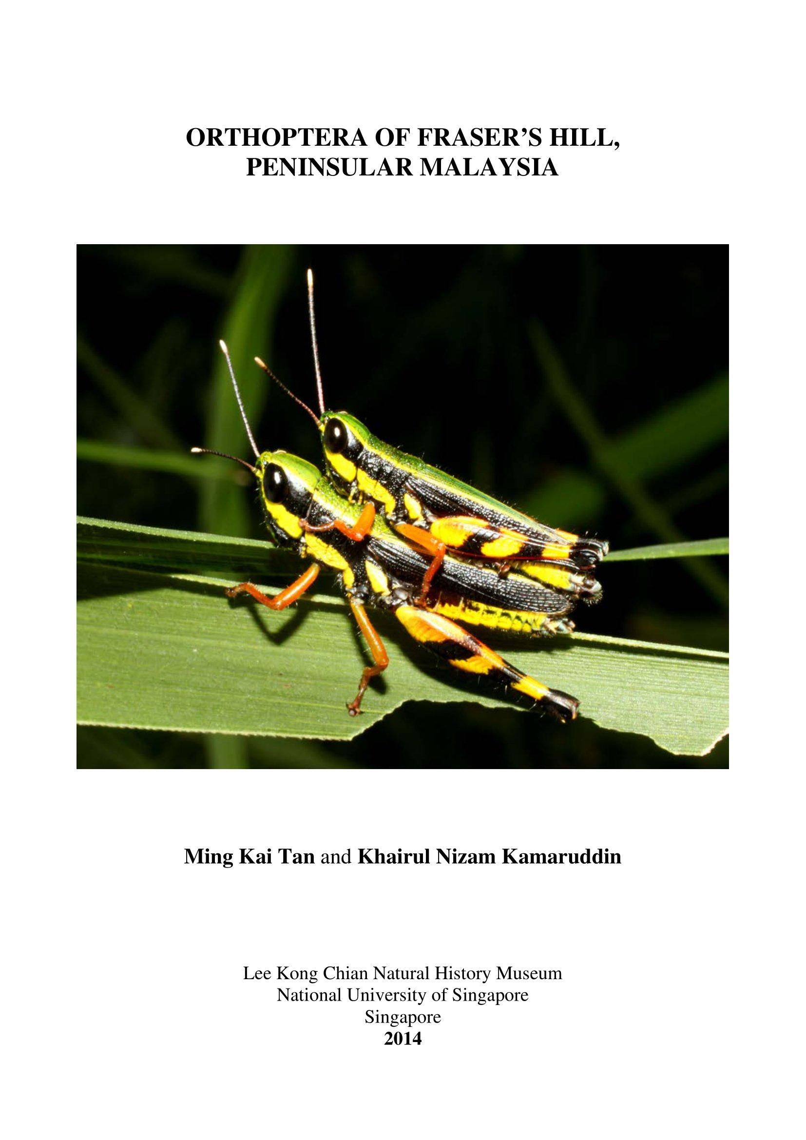 Orthoptera of Fraser’s Hill, Peninsular Malaysia