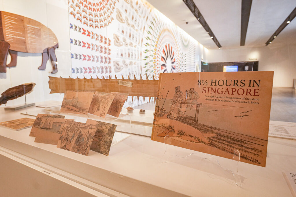 A showcase of the book ‘8½ Hours in Singapore’ along with the set of postcards and the rostrum of another sawfish specimen on display at the lobby of LKCNHM.