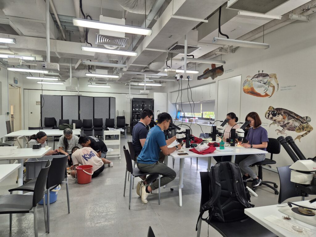 Participants at a workshop conducted by Dr Rouse at LKCNHM. Photo credit: Tashfia Raquib