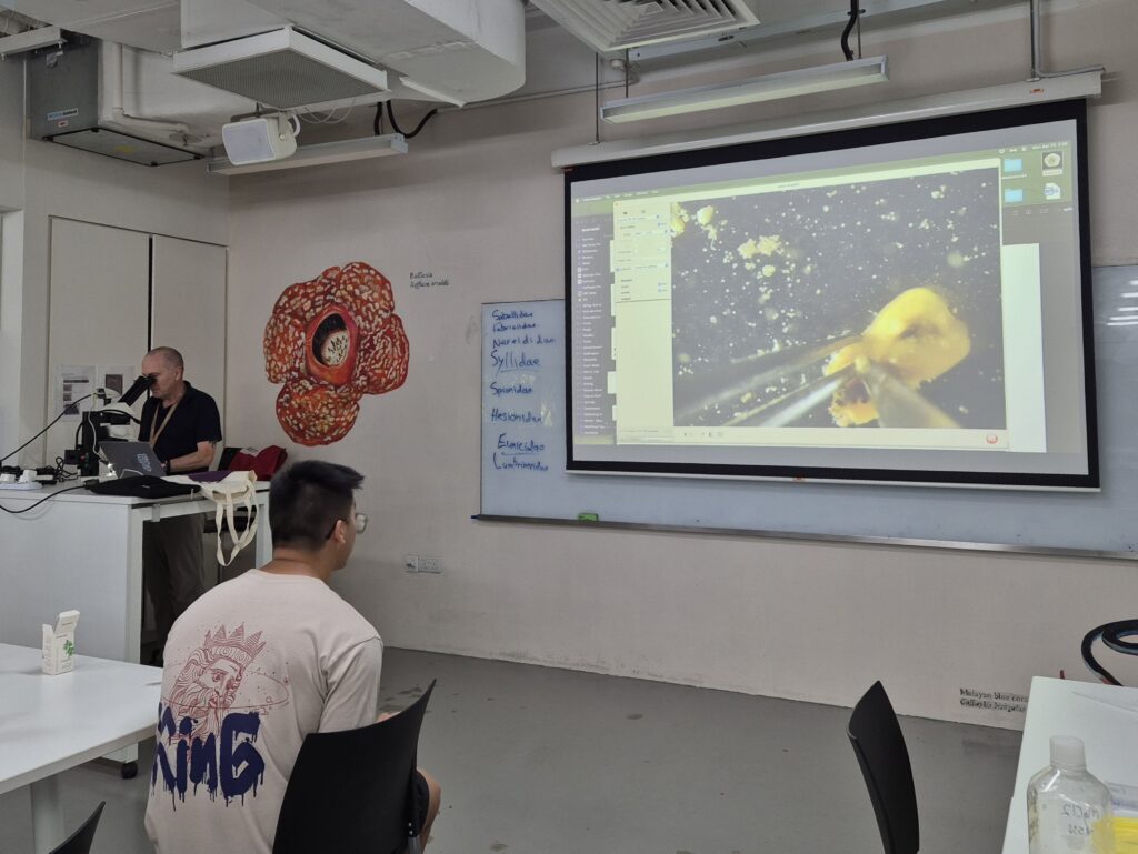 Dr Rouse examining a polychaete specimen under a microscope during his workshop conducted at LKCNHM. Photo credit: Tashfia Raquib