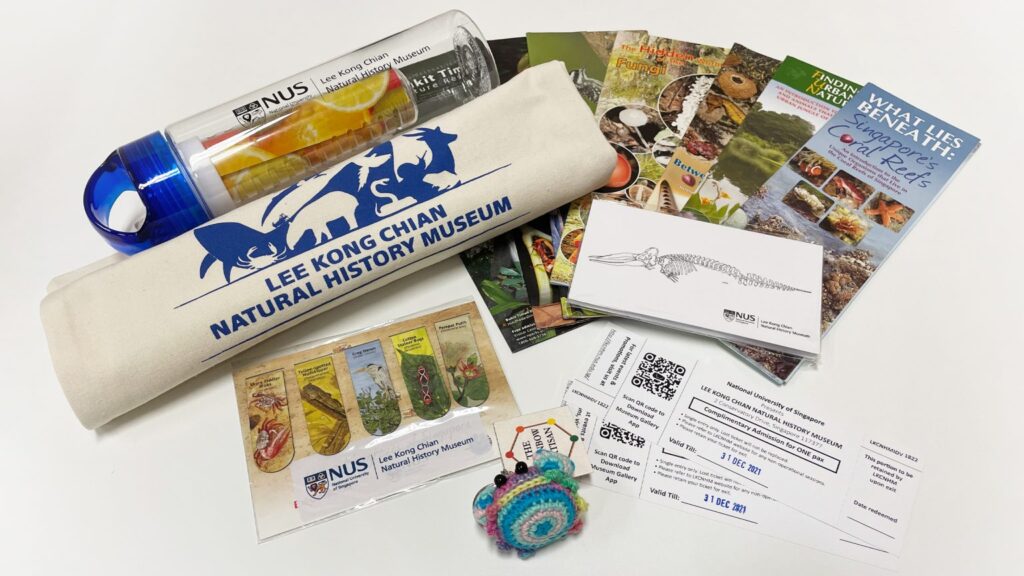 Prizes for winners of LKCNHM’s Nature x Art contest